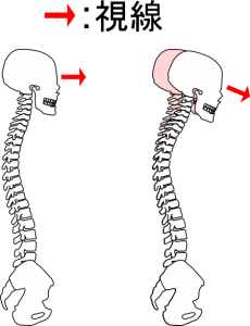 視線を描きました